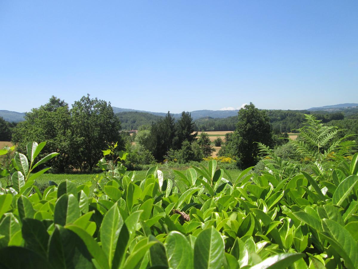 Palahotel Vallenoce Decollatura 外观 照片